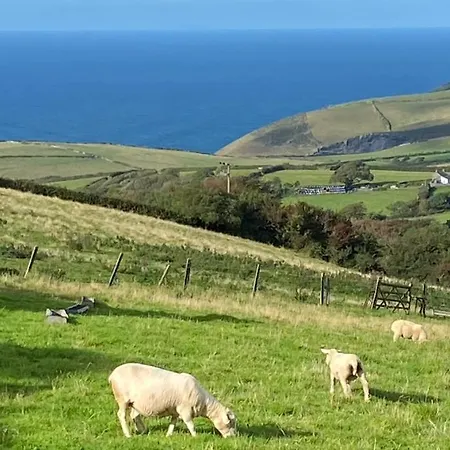 Polrunny Farm Sloe Cottage With A Sea View Boscastle Exterior photo
