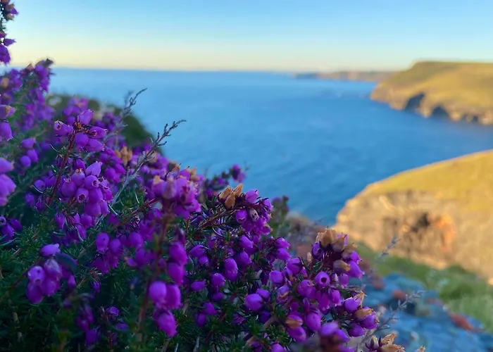 Polrunny Farm Sloe Cottage With A Sea View