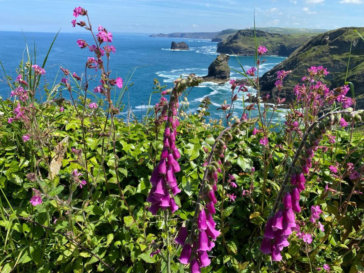 Polrunny Farm Sloe With A Sea View Apartment Boscastle