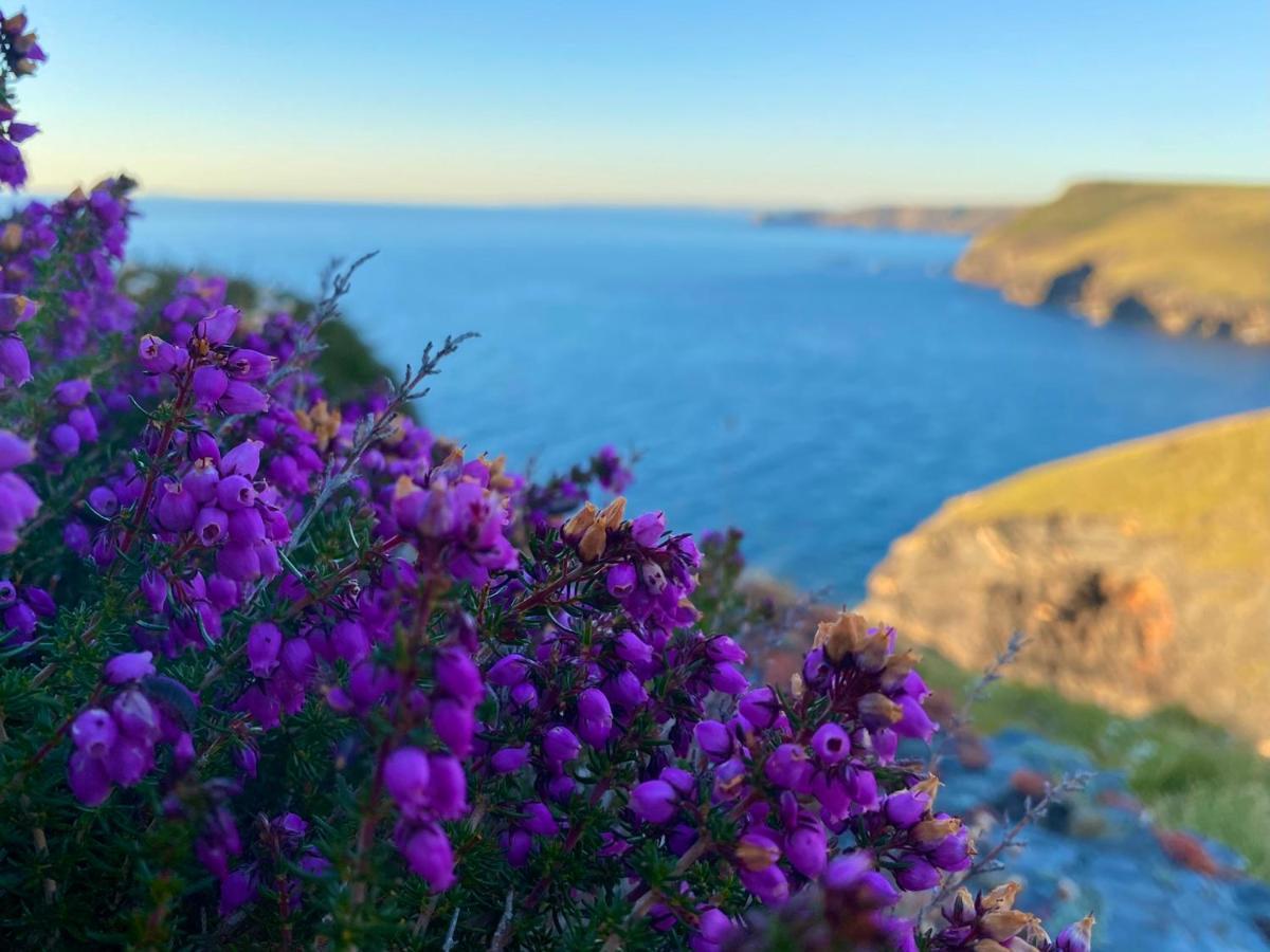Polrunny Farm Sloe With A Sea View Boscastle
