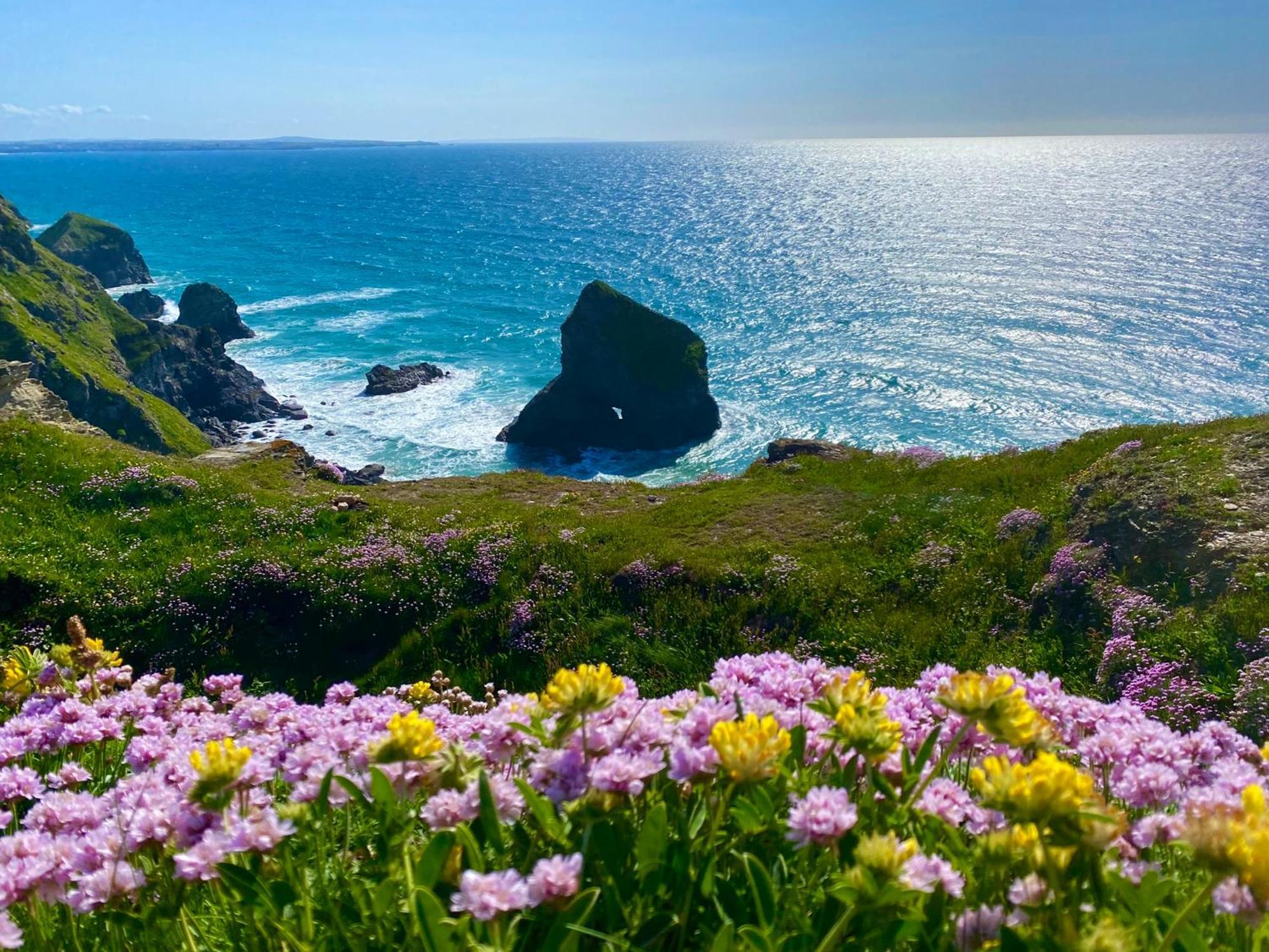 Polrunny Farm Sloe With A Sea View